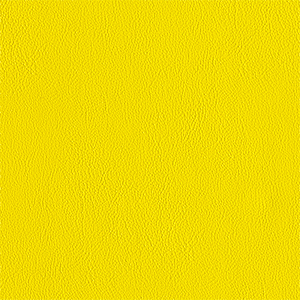 111 - Yellow - ARDEN