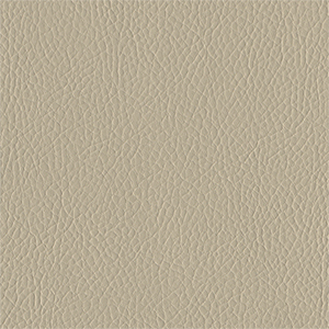 007 - Light Beige - GLORY