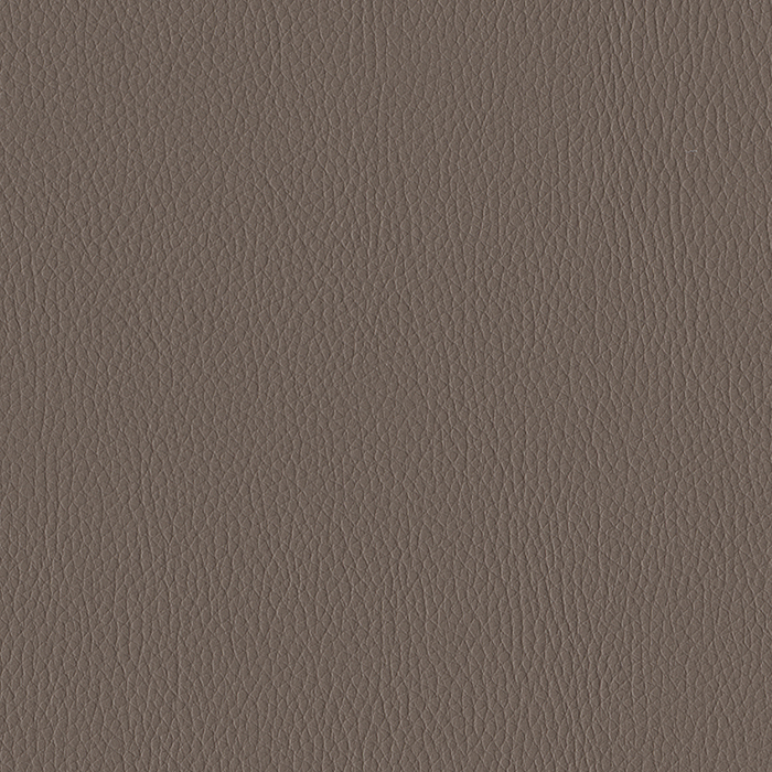 055 - Deep Taupe - NILE FR