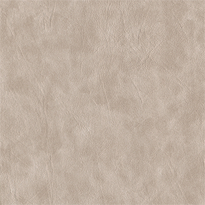 010 - Simply Taupe - EAGLE FR-5